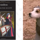 Image for article titled Classic Books I Only Care About Because a Jack Russell Terrier Told Me To